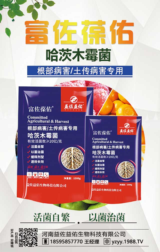 ���^����ʲô�I�B(y��ng)�r(ji��)ֵ�������^��ʲô��̎��