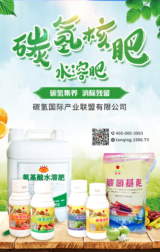     5�¿��ԷNʲô����5���߲˷Nֲָ�ϼ���ע�����(xi��ng)��