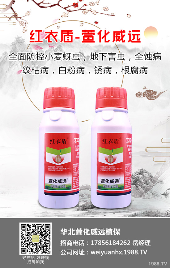     �𻨿��ֽв�ܽ����Ұܽ�صȵȣ���һ�N��ˎ����ʳ�Þ�һ�w����������Ѫ���(zh��n)ʹ�ȸ��N��Ч�Ĳݱ�ֲ������Ҫ����ˮ�[��������I�B(y��ng)�r(ji��)ֵҲ�Ƿǳ��S���������҇��ǳ��ܚgӭ����ô���𻨿�ԓ������������𻨿��߮a(ch��n)���༼�g(sh��)����Щ��