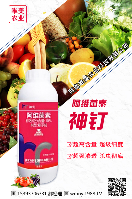 ���[������Ʒ�N����Щ���Nֲ���[���h(hu��n)���l����Ҫ����