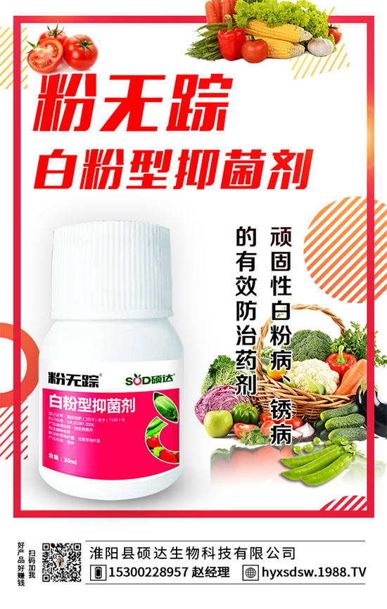 板栗怎么種植？板栗種植技術(shù)要點！