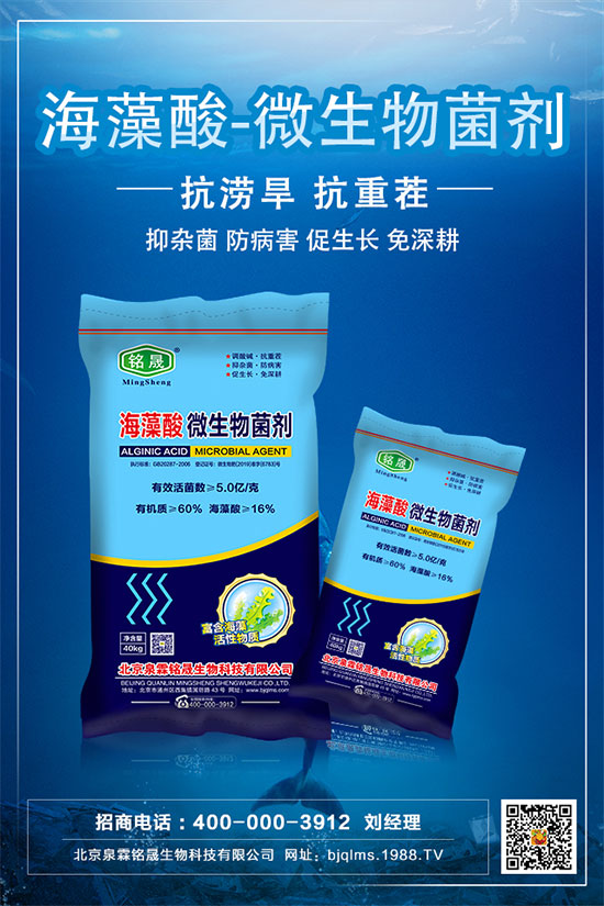     板栗只開花不結(jié)果是什么原因？板栗不掛果的解決措施！