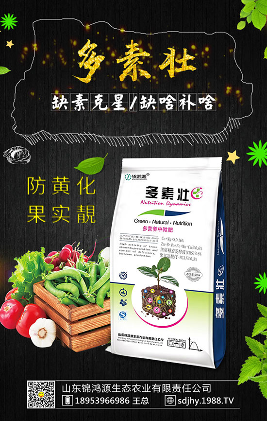 ���������緽������Щ������������Ҫ�c(di��n)�����ڹ�����