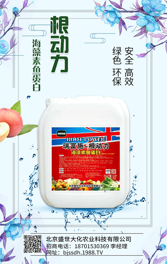 �Ә���ô���綨ֲ��������������M�м޽���