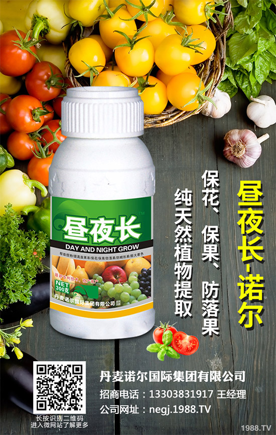 夏芹菜什么時(shí)候種植？該如何種植？夏芹菜高產(chǎn)種植技術(shù)