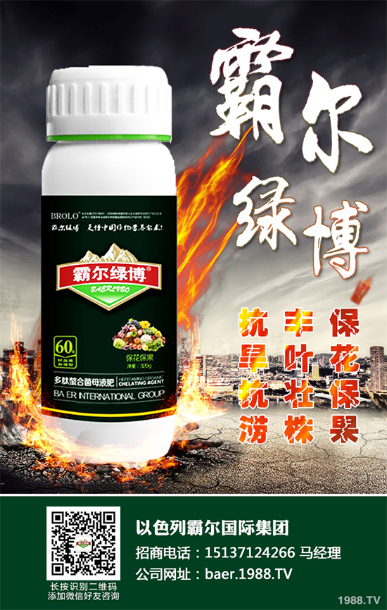 ������ʲô�r�򲥷N��2020���������粥�����ă�(y��u)ȱ�c����