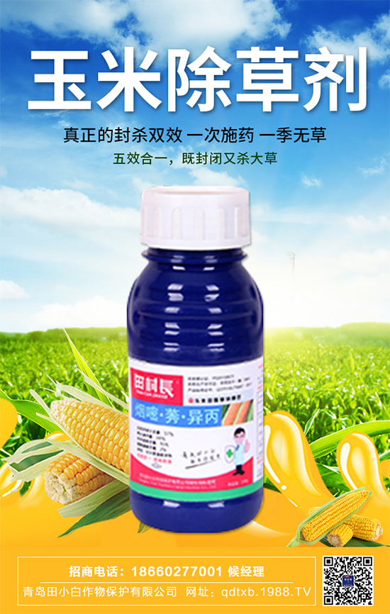 玉米種子拌種有什么作用？玉米苗期管理要點(diǎn)！