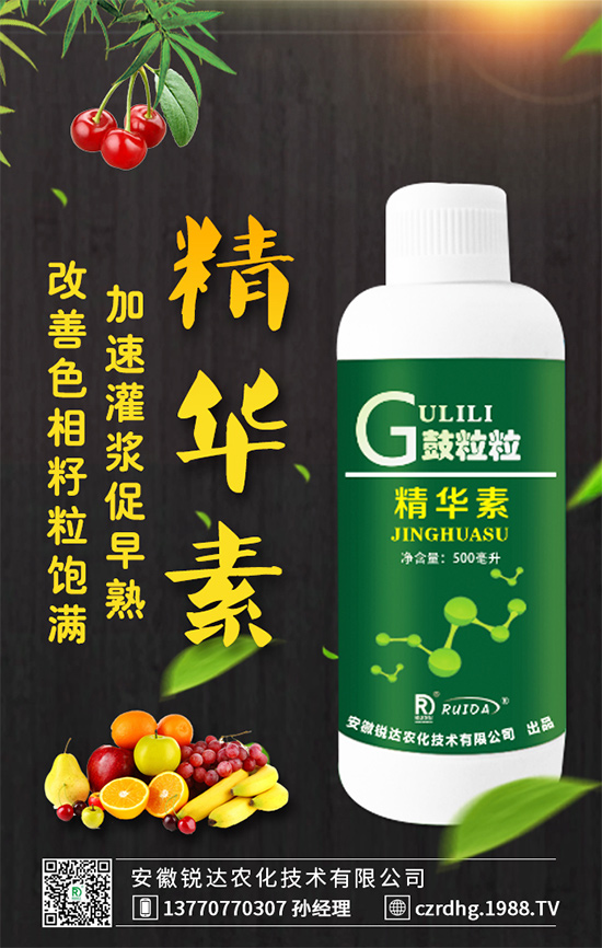     紅心火龍果和白心火龍果哪個(gè)好？區(qū)別有哪些？營(yíng)養(yǎng)誰(shuí)更高？