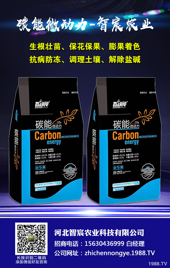 西瓜的需肥特性，西瓜施肥四禁忌！