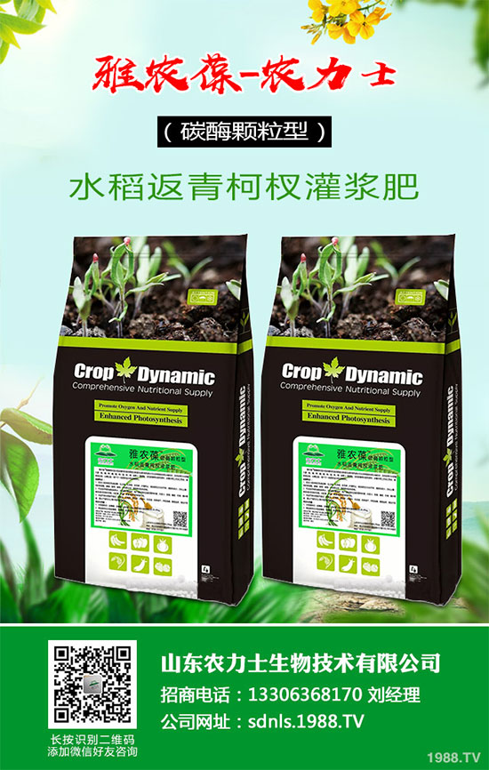 1�R���ԓ����ЉK�Nֲ���R����ЉK�Nֲ���g(sh��)��ע�����(xi��ng)