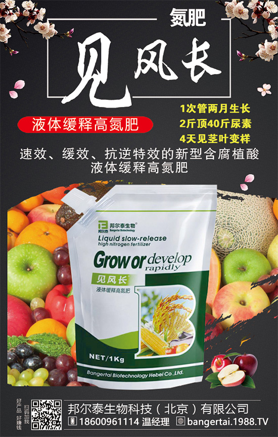 金錢草有哪些生長習性？金錢草怎么種植？