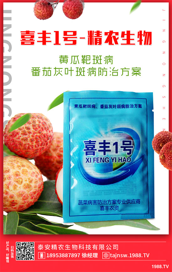 �V���X�ݷNֲ��Ҫ��Щ�l�����V���X��Ǥ������Ҫ�c��