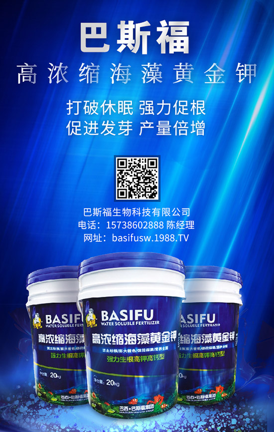 玉米施肥的更佳時間是啥時候？ 咋樣施效果好？