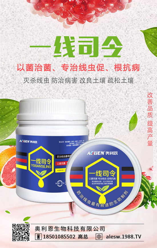 金錢草怎么養(yǎng)?金錢草養(yǎng)殖方法有哪些?