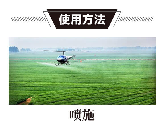 碳?xì)浜朔?紅藻門-碳?xì)鋰H_05