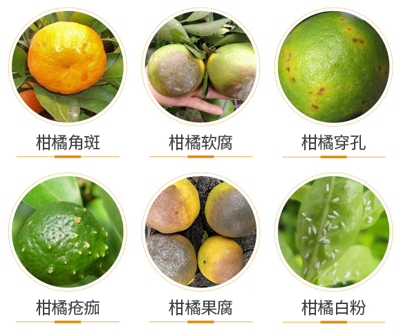 ������(d��o)��-(li��n)��μ�_04