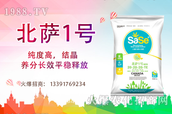 山茶花該怎么養(yǎng)，山茶花養(yǎng)殖方法和注意事項！