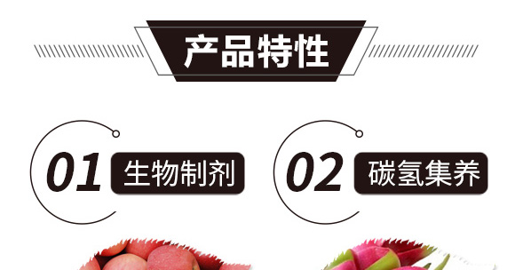 碳?xì)浜朔?紅藻門-碳?xì)鋰H_02