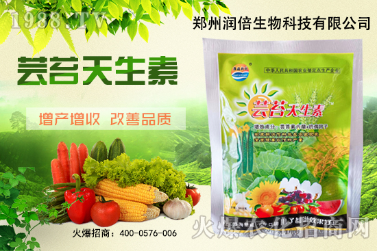 �S�B������ô�������S�B���ڲ��x��������