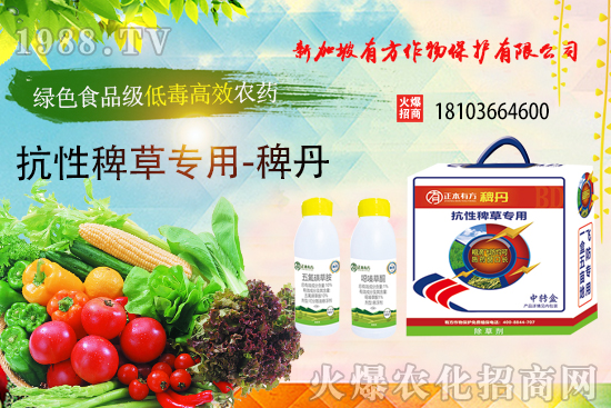 �r(n��ng)ˎ΢�҄������Ƃ似�g(sh��)�о��Mչ