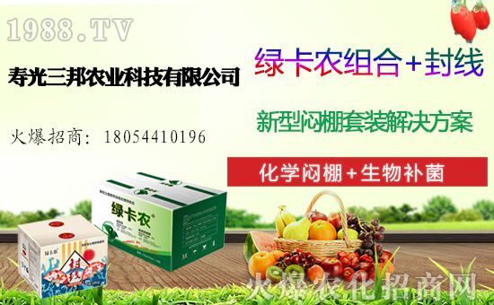 白菜多少錢一斤，一畝地產(chǎn)多少斤白菜，白菜種植前景及利潤分析！