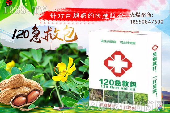 黃瓜嫁接有什么好處？如何培育黃瓜嫁接苗？