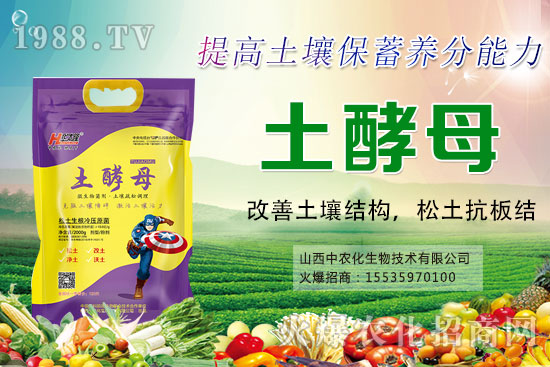 葡萄套袋有哪些好處，葡萄套袋技術(shù)要點(diǎn)及注意事項(xiàng)！