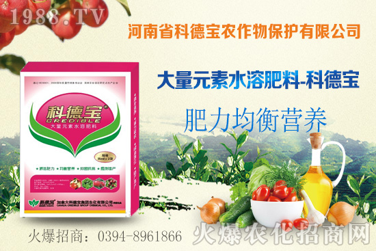 ��֦ʲô�r�g��������֦���A�\��������Щ��