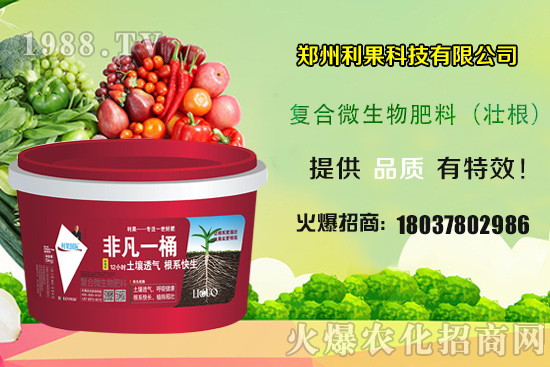 2020年種植辣椒賺錢嗎？種植前景如何？辣椒一畝地產(chǎn)量有多少？