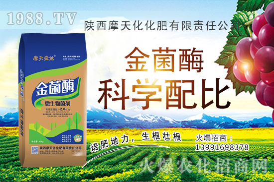 種一畝蘋果的成本是多少，有多少利潤(rùn)？蘋果種植技術(shù)與管理！