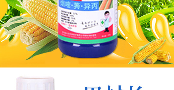 ���׳��݄��⚢�͡�����L(zh��ng)_03