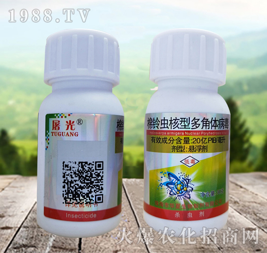 ����x(ch��ng)���Ͷ���w������ʲô�x(ch��ng)��Ч����ô������ô�x����