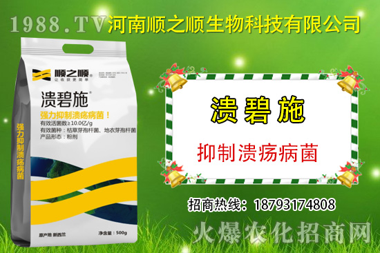 柑橘潰瘍病危害一年比一年嚴(yán)重，柑橘潰瘍病如何防控？