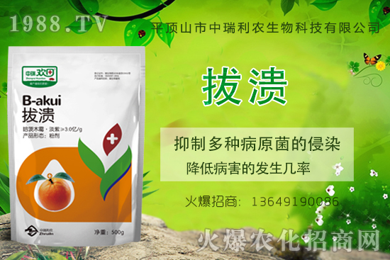 柑橘潰瘍病危害一年比一年嚴(yán)重，柑橘潰瘍病如何防控？