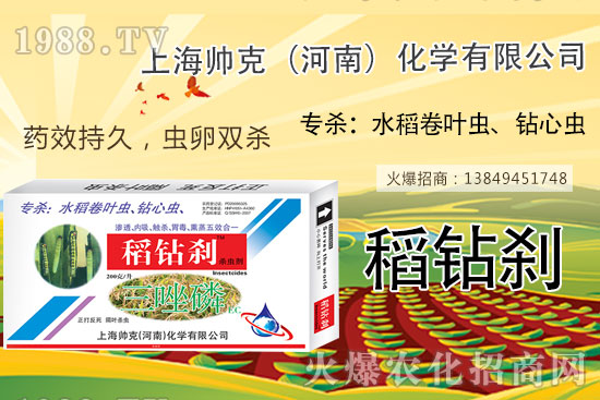     水稻鉆心蟲(chóng)不好打？那是你沒(méi)用它！水稻鉆心蟲(chóng)選對(duì)藥，防治不用愁！