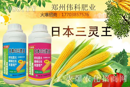 ���׿����״κ������׿����r(sh��)�g�����׿����a(ch��n)Ʒ�x����