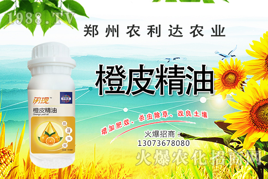 ��Ƥ�������˽��������Ƥ������ʲô��������ô�x��Ƥ������