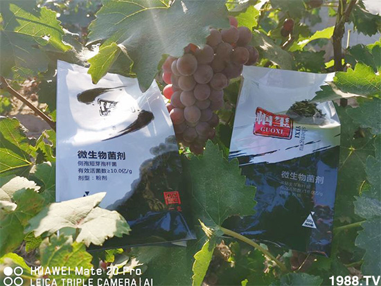 好產(chǎn)品好作用，“一璽生物”微生物菌劑“幗璽”客戶真實(shí)反饋！