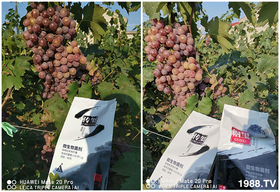 好產(chǎn)品好作用，“一璽生物”微生物菌劑“幗璽”客戶真實(shí)反饋！