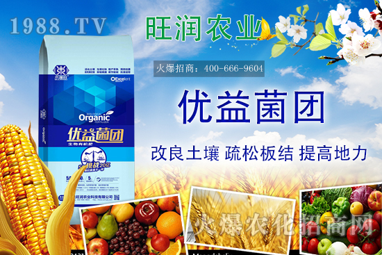 �����ЙC����ʲô���������ЙC�ʵă�(y��u)�ݣ��c�������ϵą^(q��)�e��