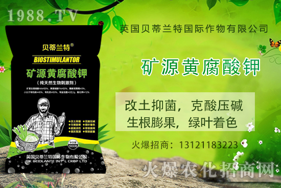 ���ÿ���ô�B(y��ng)�����ÿ��B(y��ng)ֳ������ע�����(xi��ng)��