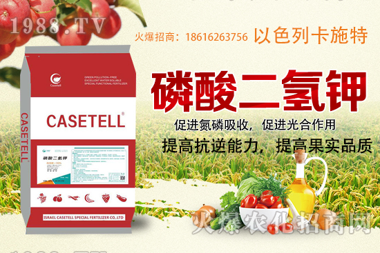  ����������ʲô���ϣ������������ü�ʹ�÷�����