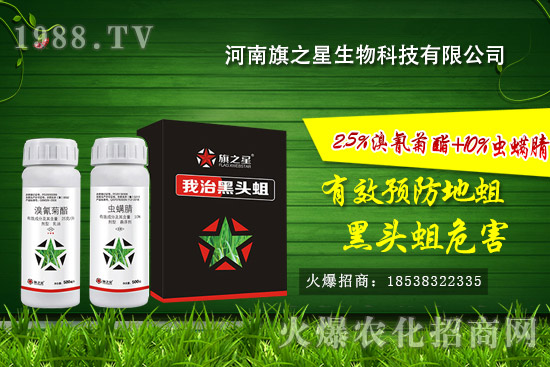 河南旗之星怎么樣？河南旗之星殺蛆產(chǎn)品有哪些？