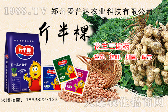 花生三遍藥什么時(shí)期使用？花生三遍藥有哪些作用？