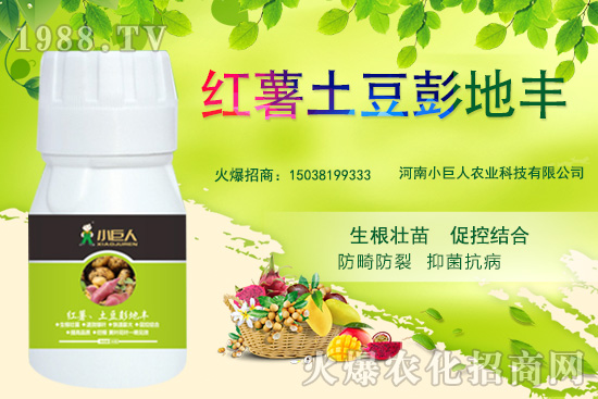 ����С������ô������˾��ʲô��(y��u)�ݣ����Ʈa(ch��n)Ʒ����Щ��