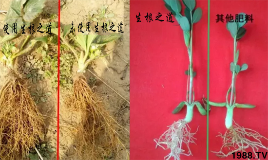 �����ϵ�����a(ch��n)���ͣ�������֮���������¸����������a(ch��n)�o�n��