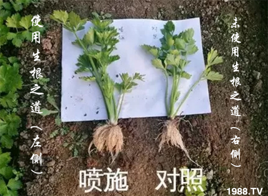 �����ϵ�����a(ch��n)������������֮���������¸����������a(ch��n)�o�n��