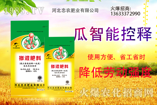 �������������Щ������ʵ�ʹ�÷�����ԓ����xُ��