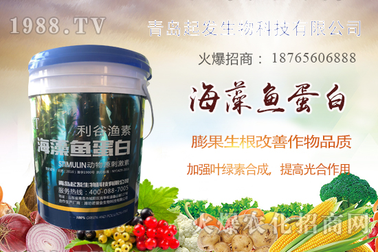 蔬菜定植如何緩苗快？蔬菜生根誤區(qū)有哪些？蔬菜生根壯苗肥推薦！