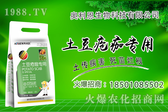 土豆瘡痂病什么癥狀？為什么難防治？土豆瘡痂病防治措施！